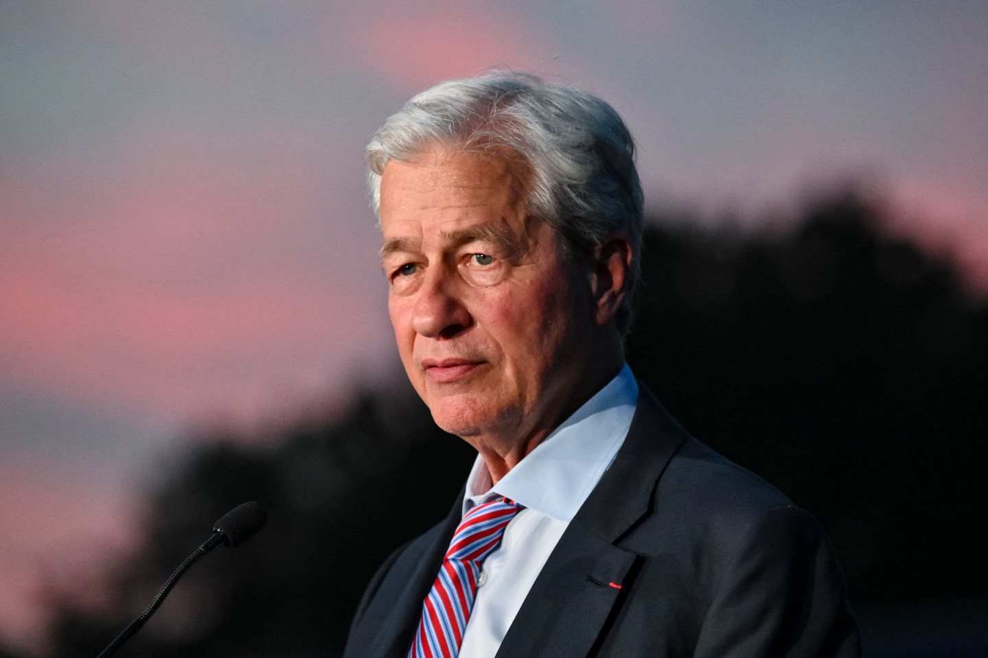 Chairman and CEO of JPMorgan Chase & Co. Jamie Dimon