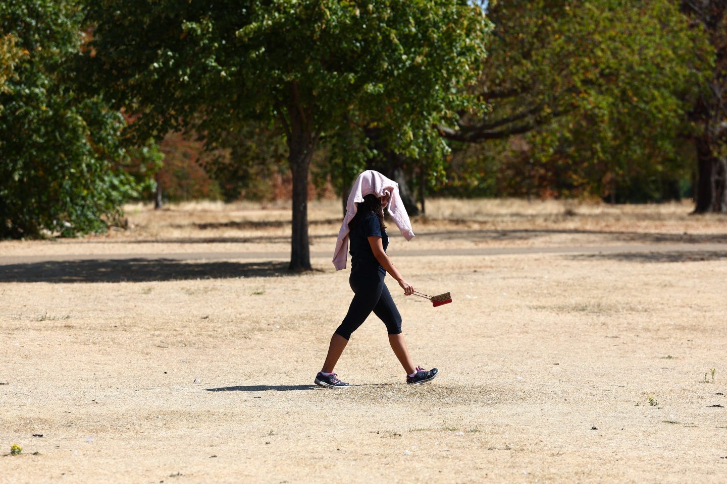 Parched earth and dried river bed in Europe during heat wave
