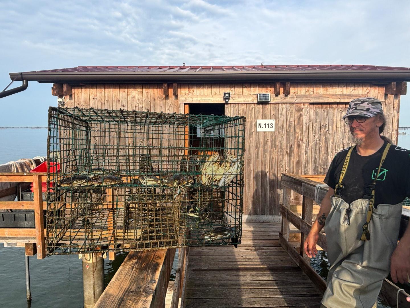 Italian fisherman loading crates of blue crabs onto a truck in the Po River Delta