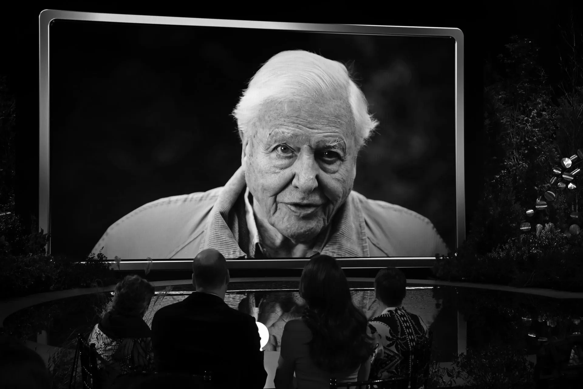 The invention of David Attenborough
